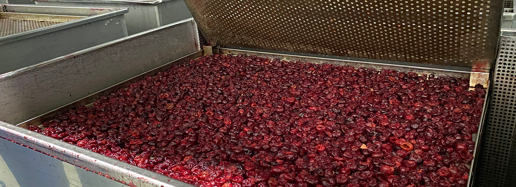 Infused Product Line