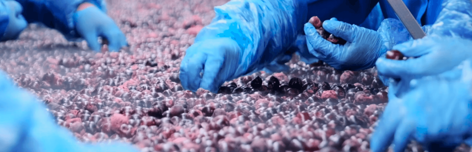 Sustainableproduction