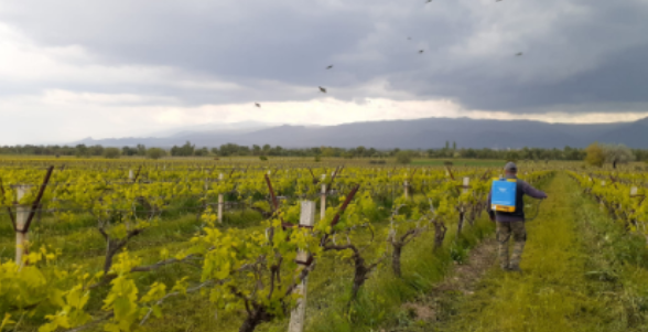 Organik Gübre Uygulamaları