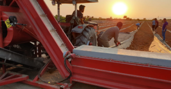 Tarımsal Faaliyetler